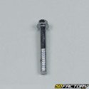 Parafusos do motor GY6 Kymco Agility,  Peugeot Kisbee,  TNT Motor... 50 4 (kit)