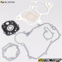 Guarnizioni del motore Derbi Euro 3,  Euro 4 ottani