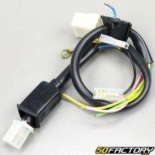 Cavo di accensione elettronica e scatola CDI Peugeot 103