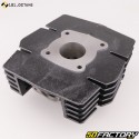 Cilindro pistone in ghisa Ø41 mm Suzuki TSX, TS 50 X 101 ottani