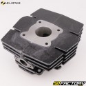 Cilindro pistone in ghisa Ø41 mm Suzuki TSX, TS 50 X 101 ottani