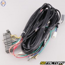 Fascio ellettrico Vespa PX-T5 125 2T Siem