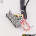 Cablaggio elettrico Vespa PX-T5 125 2T Siem