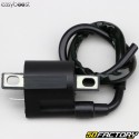 Bobina di accensione Sherco,  Rieju,  Beta,  Generic... Easyboost (senza soppressore)