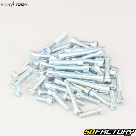 Tornillos del motor AM6 Minarelli Easyboost (Kit)