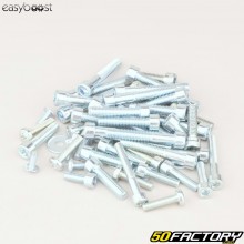Tornillos del motor AM6 Minarelli Easyboost (Kit)
