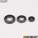 Guarnizioni del motore Yamaha DT MX 50, 80, DTR50, RD50, MBK ZX50 (fino al 1995) DMP