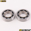 Rolamentos do virabrequim Yamaha YZF 250, Fantic XXF250... ProX
