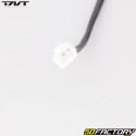 Freccia anteriore destra TNT Motor Boston, FMI NuovoPach, Neco One