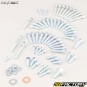 Tornillos motor Minarelli horizontales, verticales MBK Booster,  Nitro,  Ovetto... Easyboost (Kit)