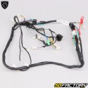 Chicote de fios elétricos Peugeot Kisbee 50 2 (2010 - 2017)...