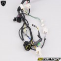 Chicote de fios elétricos Peugeot Kisbee 50 2 (2010 - 2017)...