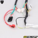 Chicote de fios elétricos Peugeot Kisbee 50 2 (2010 - 2017)...