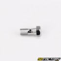 Tornillo de freno Banjo Ø10x1.00mm gris V1