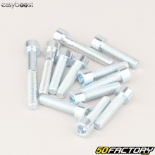 Tornillo de la cubierta de protección MBK Booster,  Nitro... Easyboost (juego de 12 tornillos)