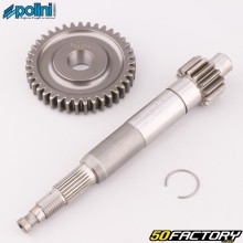14/39 primäre Übertragung Piaggio Zip 50 4T