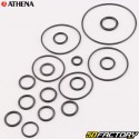 Juntas de motor Honda SH, Forza 300 Athena
