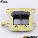 Caixa de válvula vertical Minarelli MBK Booster,  Yamaha Bw do ... Restone