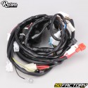 MBK wiring harness Stunt Naked,  Yamaha Slider Naked 50 2 (2013 - 2016) Restone
