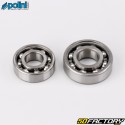 Crankshaft bearings and seals Peugeot 103 SP, MVL, XP ... Polini