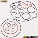 Juntas do motor KTM SX 250, Husqvarna TC (2021 - 2022), Gas Gas MC (2022 - 2023) ProX