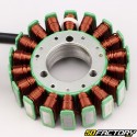 Zündstator
 Suzuki GSX-R 600, 750, 1000 (2001 - 2005)