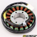 Honda Ignition Stator CBR 900 RR Fireblade (1993 - 1995)