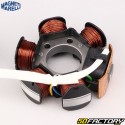 Zündstator
 Piaggio Zip,  NRG,  Typhoon,  Gilera Stalker,  Vespa LX... 50 2T Magneti Marelli