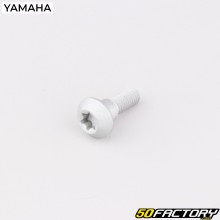 Viti disco freno 6x20 mm Yamaha YZF-R6, FZ1, XTZ 1200 Super Tenere...