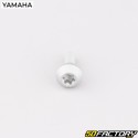6x20 mm brake disc screws Yamaha YZF-R6, FZ1, XTZ 1200 Super Ténéré ...