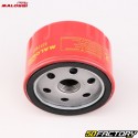 Oil filter Malossi 0317897 BMW R1200 GS, K1600 ST, Kymco AK 550 ...