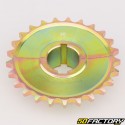 Corona 25 denti acciaio 428 Ø30 mm 2 pezzi karting KZ
