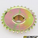 Corona 27 denti acciaio 428 Ø30 mm 2 pezzi karting KZ