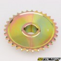 Corona 31 denti acciaio 428 Ø30 mm 2 pezzi karting KZ
