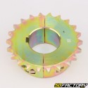 Corona 22 denti acciaio 428 Ø40 mm 2 pezzi karting KZ