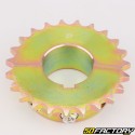 Corona 23 denti acciaio 428 Ø40 mm 2 pezzi karting KZ
