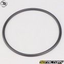 Righetti Ridolfi karting water pump belt