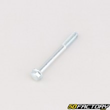Vite di fissaggio Ø6x55 mm per riduttore motore Honda GX 160, 200, 270