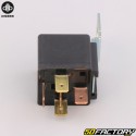 48V main relay Kisbee  SE