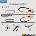 Belt Peugeot Tweet,  Sym Fiddle  2,  Symphony 50...19x774 mm Dayco