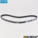 Belt Sym HD 125 (2006 - 2014) 20x923 mm Dayco