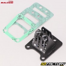 Caja de láminas Peugeot 103 Malossi VL7 Karb