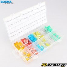 Bosma Standard Blade Fuses with Mini Blade Fuses (Pack of XNUMX)
