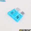 Bosma Standard Blade Fuses with Mini Blade Fuses (Pack of XNUMX)