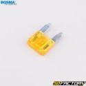Bosma Standard Blade Fuses with Mini Blade Fuses (Pack of XNUMX)
