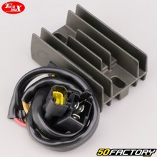 Regolatore di tensione Suzuki DR-Z 400 (2000 - 2019) Tour Max