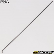 Ray2x252 mm PNA black bicycle wheel