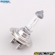 Lâmpada de farol PX26D 12V 55W tipo H7 Bosma