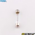 Shuttle bulb SV8.5 12V 10W type C5W Bosma